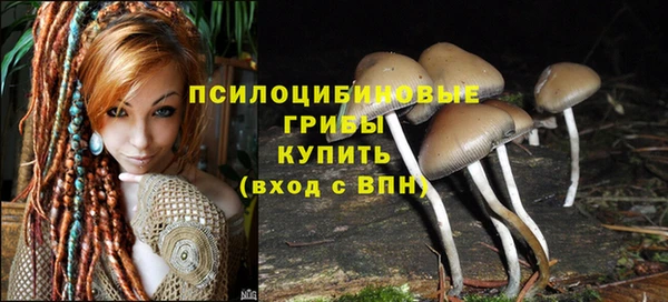 spice Белоозёрский