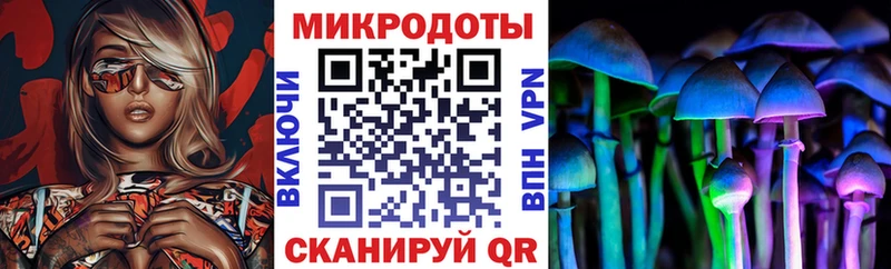 Псилоцибиновые грибы MAGIC MUSHROOMS Дальнегорск