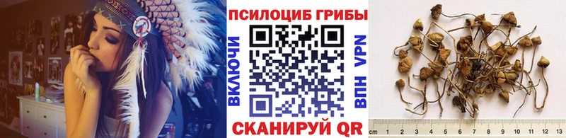 Галлюциногенные грибы MAGIC MUSHROOMS магазин наркотиков Дальнегорск