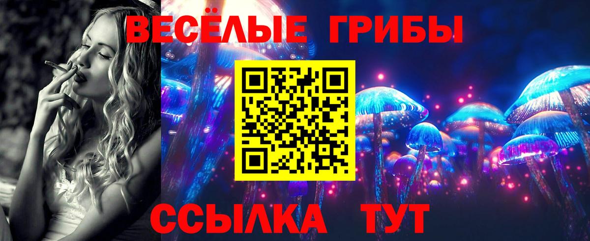 Псилоцибиновые грибы Psilocybine cubensis  Вход с VPN  Галлюциногенные грибы мицелий  Дальнегорск 