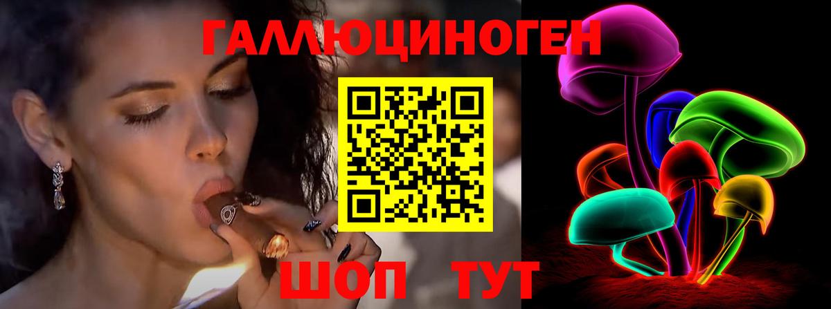 Псилоцибиновые грибы прущие грибы Дальнегорск